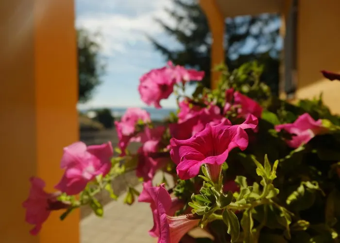 B&B Podere Ospedaletto